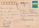 CHINE CHINA  :  Carte Postale Pour La France - Lettres & Documents