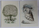 Lot De 12 Cartes Postales Illustrateur Peynet Les Signes Du Zodiaque Astrologie Balance Scorpion Lion Cancer - Peynet