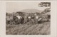 CPA  RARE   STALAG VIII   MOISSON TRACTEUR BATTEUSE  1939/1945 CARTE PHOTO  TRACTEUR LANZ - Tracteurs