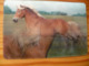 Horse - Lenticular (3D) Card  From Hungary - Autres & Non Classés