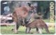 INDONESIA A-377 Magnetic Telekom - Animal, Kangaroo - Used - Indonesien