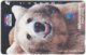 INDONESIA A-398 Magnetic Telekom - Animal, Bear - Used - Indonesien