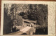 Cpa, CARTE PHOTO, Environs De Tulle (19, Corrèze)), Postée De PEYRELEVADE 1905?, (Carte Postale Sensible VELOX) - Autres & Non Classés