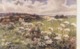"S. Shelton. Fragrant Meadows" Lot Of Fiive (5) L Lovely Tuck Oilette Postcards # 9615 - Tuck, Raphael