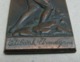 AC - MUSTAFA KEMAL ATATURK BRONZE PLAQUETTE BY ETIBANK - Bronzi