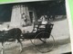 ATTELAGE  CHÈVRE ENFANTS AU PARC DE SPA UNE CARTE - PHOTO DE 1934 + 2 CARTES POSTALES CASCADE MONUMENTALE + 9 PHOTOS - Spa