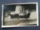 Delcampe - ATTELAGE  CHÈVRE ENFANTS AU PARC DE SPA UNE CARTE - PHOTO DE 1934 + 2 CARTES POSTALES CASCADE MONUMENTALE + 9 PHOTOS - Spa