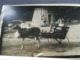 Delcampe - ATTELAGE  CHÈVRE ENFANTS AU PARC DE SPA UNE CARTE - PHOTO DE 1934 + 2 CARTES POSTALES CASCADE MONUMENTALE + 9 PHOTOS - Spa