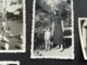 Delcampe - ATTELAGE  CHÈVRE ENFANTS AU PARC DE SPA UNE CARTE - PHOTO DE 1934 + 2 CARTES POSTALES CASCADE MONUMENTALE + 9 PHOTOS - Spa