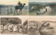 XALG.118.  ALGERIA - ALGÉRIE - Scènes Et Types  - Lot De 19 Cpa - Scenes