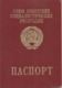 Ukraine  USSR Foreign Passport 1994 Border Stamps Israel Embassy Stamp Passeport  Reisepass Pasaporte - Documenti Storici