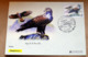 ITALY 2019, EUROPA CEPT 2019 BIRDS, OFFICIAL MAXICARD 1 - 2019