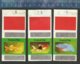 TROPICAL FISH Matchbox Skillets Netherlands ( S SIKANDAR ) - Boites D'allumettes - Etiquettes