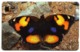 Telecarte °_ Oman-papillon-Yellow Pansy- R/V 6187 - Oman