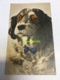 CPA CARTE A SYSTEME YEUX RPPC REAL PHOTO POSTCARD GLASS EYES CHIEN DOG - Cani