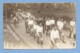 9494 Germany (?) 1928  Football Players, Cyclists, Etc. Original Photo Pc - Da Identificare