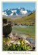 05 - Hautes Alpes - Lac De L'Etoile - Les Agneaux - Fleurs - Voir Scans Recto-Verso - Autres & Non Classés