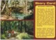 Mataranka Homestead Story Card, Northern Territory - Unused - Unclassified