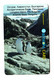 Bulgaria, Livingston Island, Penguins, Phonecard - Bulgarie