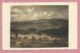 68 - Hautes Vosges - Carte Photo - Sillackerwasen Près METZERAL - Ferme - Autres & Non Classés