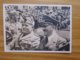 Foto-AK Hitler Und Mussolini Historische Begegnung 18.6.1940 Mit SST  PHOTO-HOFFMANN - War 1939-45