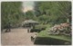 Hartford CT 1914 Elizabeth Garden Postcard - Hartford