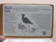 NEW ZEALAND COIN ISSUE ( Black Stilt ) Anno 1985 ( V.R. Ward ) > ( For Grade, Please See Photo ) ! - New Zealand