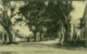 SURINAME - PARAMARIBO - HEERENSTRAAT - EDIT EUG. KLEIN - 1900s (BG4833) - Surinam