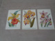 Beau Lot De 20 Cartes Postales De Fleurs Fleur Orchidée Publicité Pharmacien   Mooi Lot  20 Postkaarten  Bloemen Bloem - 5 - 99 Cartes