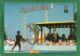 MARINELAND D ANTIBES ROUTE DE BIOT DAUPHINS  CPM 1986 Collection Marineland  VIGUIER état Trés Moyen Petit Prix - Delfini