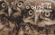 HOLANDA. BUHOS. Ver Y Descubrir - View & Discover. 1998. 25f. CG 016-02. (101) - Owls