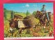 Modern Post Card Of Animals,Donkeys,Paphos, Paphos, Cyprus,X29. - Cyprus