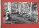 Rubber Tapping    Sri Lanka (Ceylon)   Ref 3696 - Sri Lanka (Ceylon)