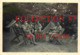 15 ☺♦♦ VIESCAMP LAROQUEBROU - SCOUTS Au CAMPEMENT En 1952 - SCOUT < SCOUTISME - PHOTO ORIGINAL D'EPOQUE 6cm X 9cm - Andere & Zonder Classificatie