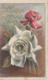 Illustrateur  : G . Laforge  , Une  Fleur  , La  Rose (  écrite  à  Briouze ) - Sonstige & Ohne Zuordnung