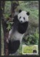 Taiwan(Formosa) Carte Maximum Card -Giant Panda ATM Label 2010 - Vignette [ATM]