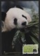 Taiwan(Formosa) Carte Maximum Card -Giant Panda ATM Label 2010 - Vignette [ATM]