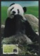 Taiwan(Formosa) Carte Maximum Card -Giant Panda ATM Label 2010 - Vignette [ATM]