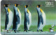 New Zealand - Chip - General Cards - King Penguins - Exp. 09.1996, 20$, 20.500ex, Used - New Zealand