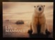 The Life Of Mammals Movie Film Carte Postale - Affiches Sur Carte