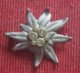 Original German WW 2 Badge - DAV - Deutscher Alpenverein - Edelweiss, Badge,pin,broosh - Alpinisme, Beklimming