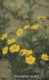 GRECIA. X1116. FLOWERS. Greek Nature. 05/2001. (079). - Blumen