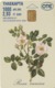 GRECIA. X1106. FLOWERS. Museum 'Goulandris' For The History Of Nature 8 (Rosa Canina). 05/2001. (078). - Flores