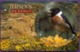 Telecarte °_ Jersey-oiseau-Stonechat Coastal-£2- R/V 6230 - [ 7] Jersey Und Guernsey