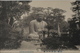 JAPAN - Daibutsu At Kamakura - 1900-1910’s - 3 Cards - Other & Unclassified