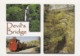 Postcard Devil's Bridge Wales By John Hinde My Ref  B23867 - Cardiganshire