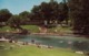 AUSTIN TX - BARTON SPRINGS POSTCARD - Austin