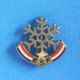 1 BROCHE //   ** E.S.F / ÉCOLE DU SKI FRANÇAIS / FLOCON 1 ÉTOILES ** . (Decat Paris) - Wintersport