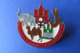 Pin's Broche,Elephant,chameau,escargot,lapin,chateau, Konstanzer Narrengesellschaft,carnaval - Kraftstoffe