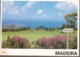 Portugal ** & Postal Stationery, Gonepteryx Cleopatra, Santo Da Serra Golf Course, Madeira 1998 (2) - Golf